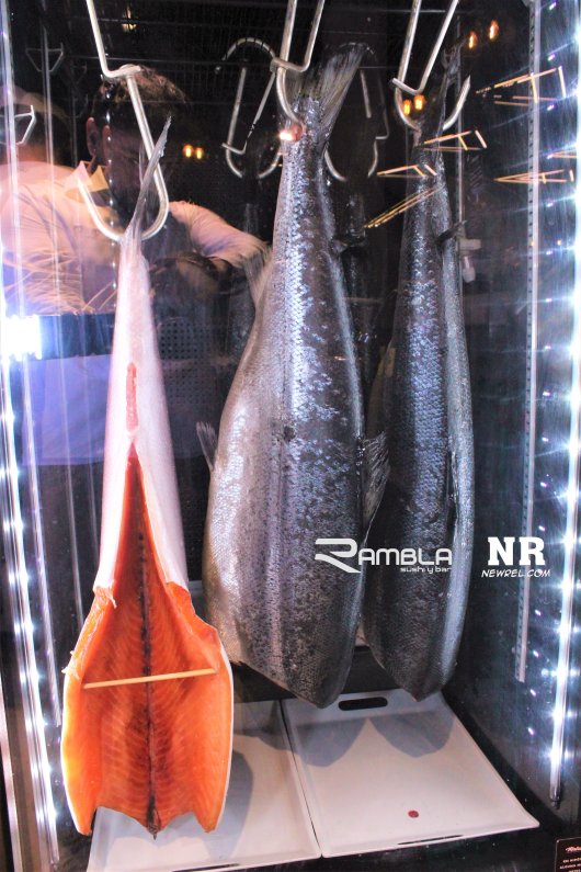 RAMBLA (24)